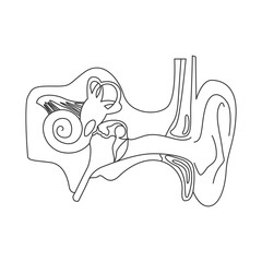  Human ear icon design