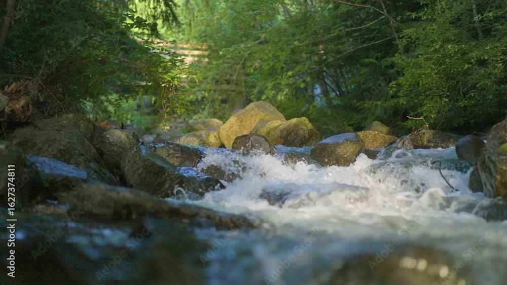 Poster a close up shot of a fast moving water in a stream crashing on river rocks covered with moss with lu