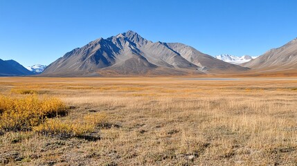 Scenic Landscape View of Alaskan Mountains and Vibrant Grasslands