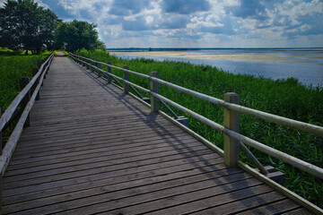 A wooden boardwalk with railings leading through green reeds along the shore of a lake under a partly cloudy sky.