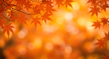 Autumn Maple Leaves: Captivating image of vibrant, fiery red and orange maple leaves, create a rich texture against a warm, blurred backdrop, embodying the essence of fall.