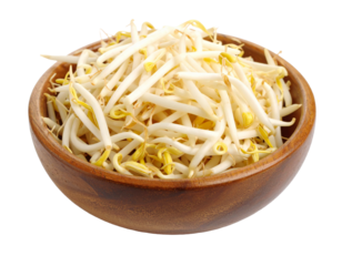 Fresh Bean Sprouts in Wooden Bowl on White Background