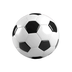 Obraz premium Classic Black and White Soccer Ball