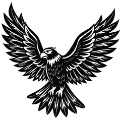 Obraz premium Majestic eagle wings spread wide in flight bird soaring