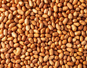 Roasted Ground Peanuts Isolated on White Background