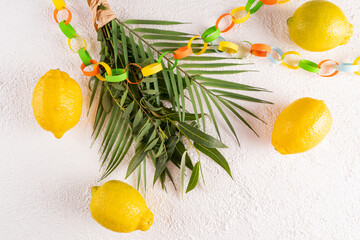 Bright yellow etrog fruits, palm branch, myrtle, green willow, on a white background with a...