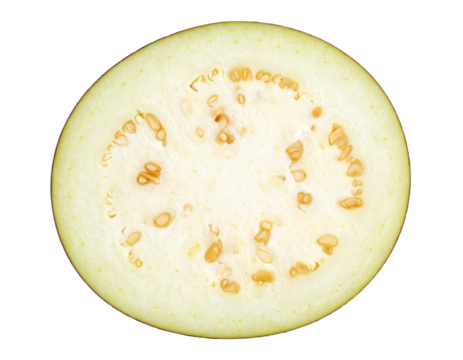 Isolated Thai Eggplant Slice on Black Background