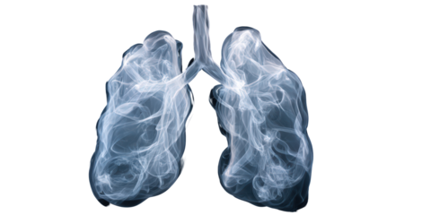 Abstract Lungs with Smoke: Respiratory System Health Concept on Isolated Transparent Background