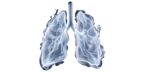 Lungs X-Ray Effect - Respiratory System Anatomy on Isolated Transparent Background