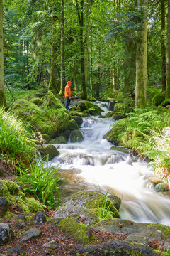 People in an orange jacket stands by a lush, green forest waterfall. The water flows over moss-covered rocks, surrounded by trees. Europe, Germany, Black Forest, Buhlertal, Gertelbach.