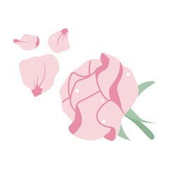 Pink rose with scattered petals. Perfect for romantic, feminine, or decorative floral designs. Vector illustration.