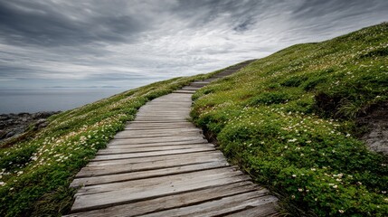 Fototapeta premium Wooden walkway winding uphill through grassy knolls by the coast.