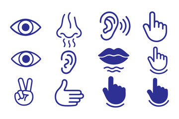 Fototapeta premium Five Senses line icons Five senses icon, representing the senses: eye (sight), nose (smell), ear (hearing), tongue (taste), and hand (touch) - ideal for web design education