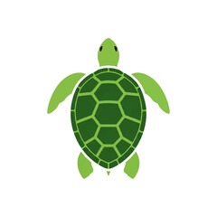 Simple Green Sea Turtle Illustration.