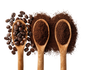 Three wooden spoons, each filled with a different coffee stage whole beans, ground coffee, and coffee grounds