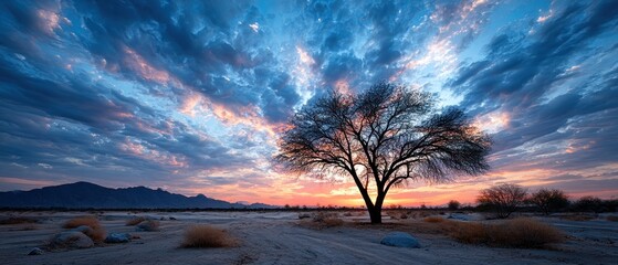 Dramatic sunset over desert landscape
