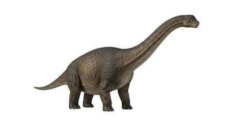 Fototapeta premium Realistic brachiosaurus dinosaur model isolated on transparent background