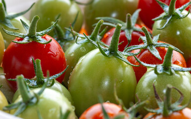 an appearance consisting of small green and red tomatoes with water droplets clustered together