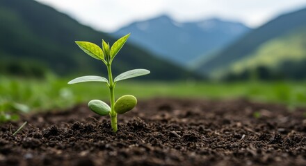 Young plant growing in soil with mountain background.
