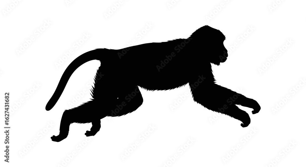 Poster side profile silhouette of a monkey in motion: vector illustration isolated on transparent backgroun