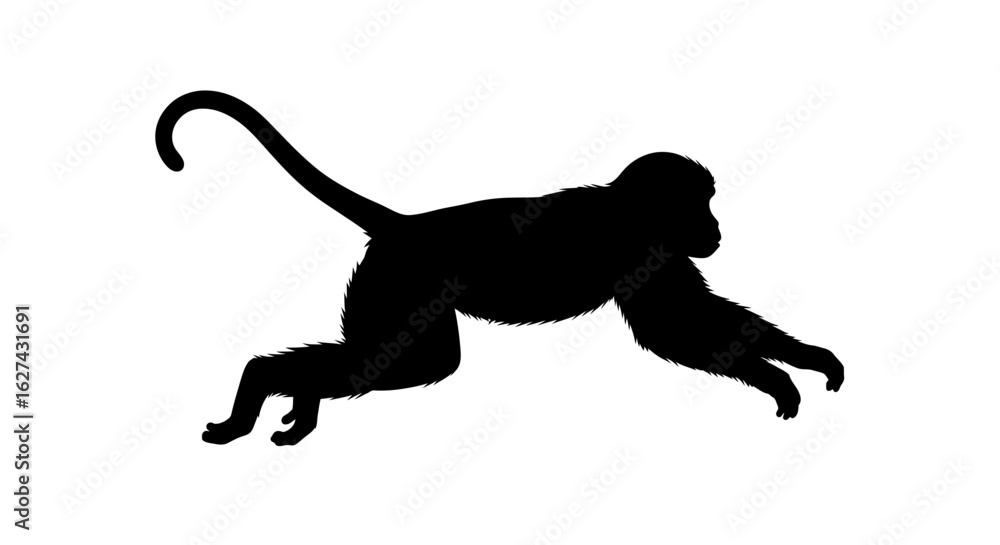 Poster side profile silhouette of a monkey in motion: dynamic vector illustration isolated on transparent b