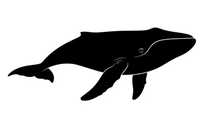 side profile of a humpback whale silhouette, isolated on transparent background: elegant vector illustration for ocean conservation and marine life designs