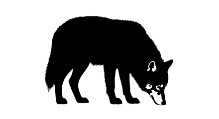 Obraz premium profile silhouette of a wolf, isolated on transparent background: majestic canine in black and white vector art