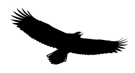 Obraz premium majestic silhouette of an eagle in flight, isolated on transparent background: a powerful vector illustration for design projects