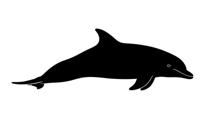 Fototapeta premium side profile silhouette of a dolphin isolated on transparent background: elegant vector graphic for design projects