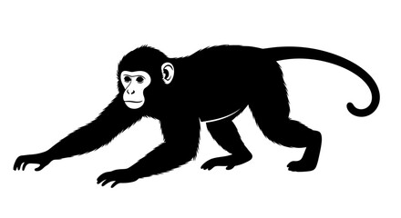Obraz premium side profile of a playful monkey silhouette, isolated on transparent background: vector illustration perfect for logos, designs, and prints