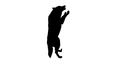 majestic wolf silhouette: a side profile of a wolf standing on hind legs, isolated on transparent background, ideal for logo design or graphic projects.