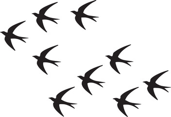 Flock of Swallows in Flight birds flying