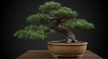 Serene Bonsai Tree on Wooden Table, Dark Background, Artistic Composition.