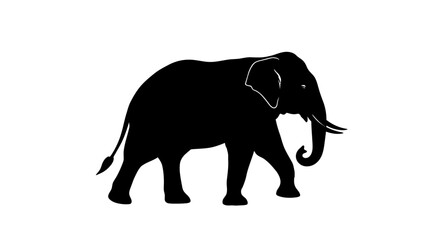 Fototapeta premium profile view of a majestic elephant silhouette, isolated on transparent background – perfect for logos, prints, and designs