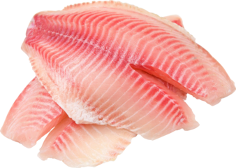 Tilapia Fish Meat Isolated On Transparent Background