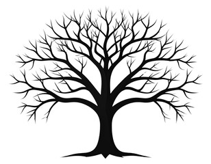 Obraz premium Minimalist Bare Tree Silhouette with Straight Limbs, Isolated PNG Vector Style