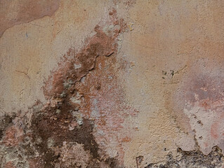 Moldy old white wall background