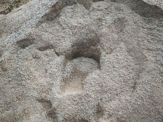 Large animal footprint embedded in rocky terrain, showcasing natural erosion and surroundings