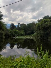 Serene landscape featuring a tranquil pond surrounded by lush greenery and mountains