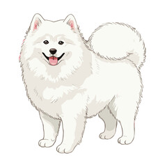 Adorable fluffy white Samoyed dog with a smiling face, standing in a full shot, showcasing its charming and friendly nature in a detailed vector illustration
