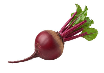 Freshly harvested beetroot with vibrant greens, isolated on a clean background