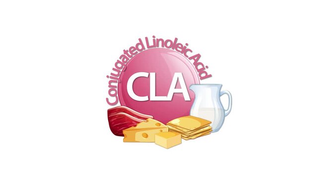 Conjugated Linoleic Acid Sources Animation With Food Icons
