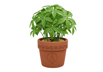 Obraz premium Lush green money plant in a decorative terracotta pot, symbolizing prosperity