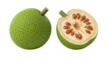 Whole and Sectioned Breadfruit Displaying Textured Skin and Seed Details.