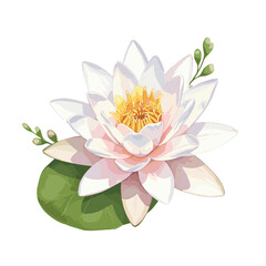 Elegant water lily illustration with delicate petals and a vibrant yellow center, complemented by lush green leaves and buds on a white background