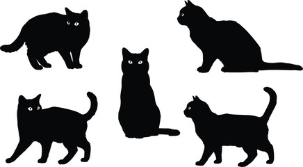 Collection of five black cat silhouettes in various playful and elegant poses isolated on transparent background silhouette