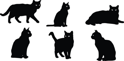 Collection of six black cat silhouettes in various poses isolated on transparent background