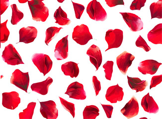 Fototapeta premium isolated, red rose petals, transparent background, vector graphics, website design element, landing page, for web design, Vector illustration.