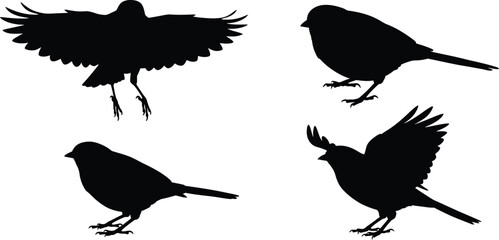 Four distinct silhouettes of small birds in various poses and flight captured as isolated objects on a transparent background isolated on transparent background