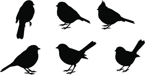Collection of six different bird silhouettes in various poses and angles isolated on transparent background silhouette